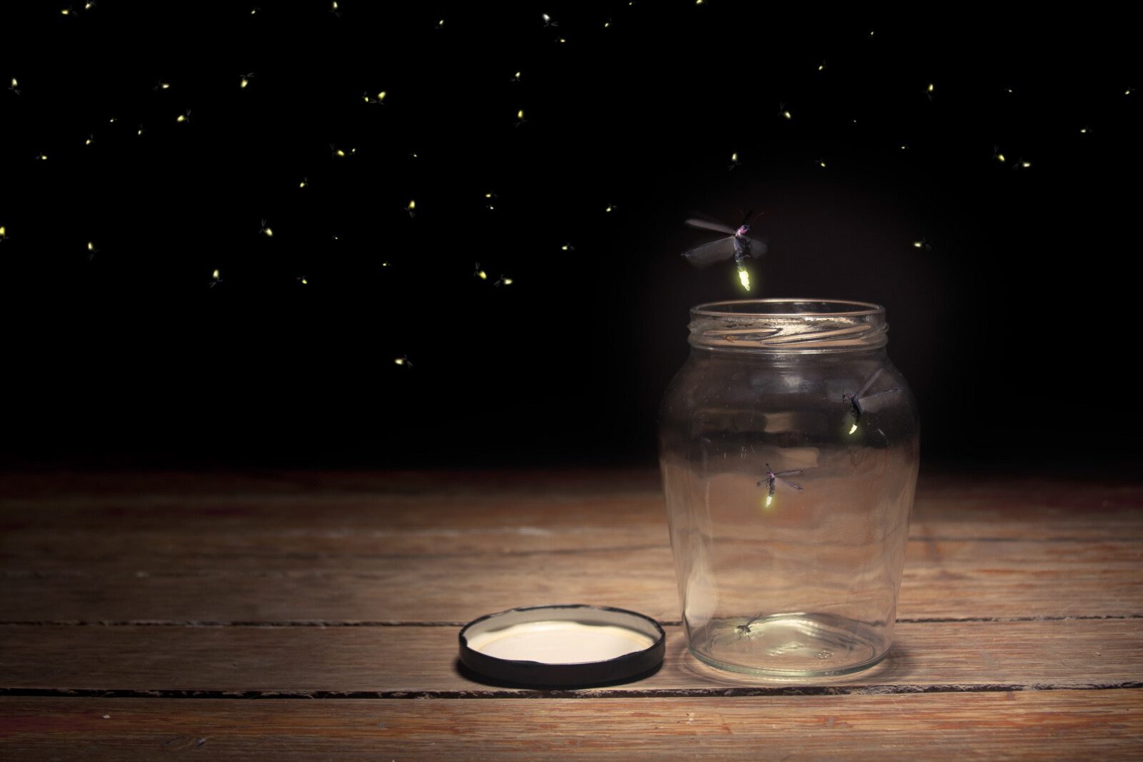 firelies in a jar on a dark background